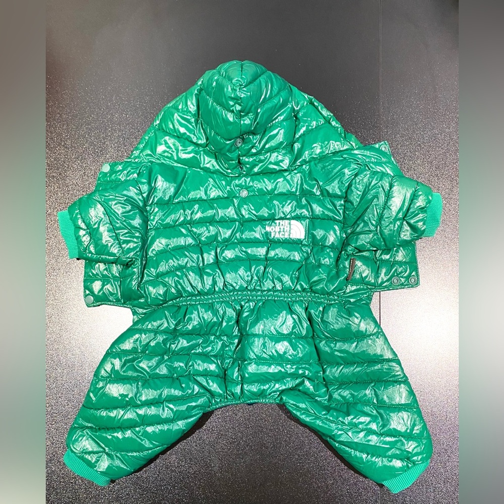 Green Four Legged Pet Snowsuit - Weatherproof